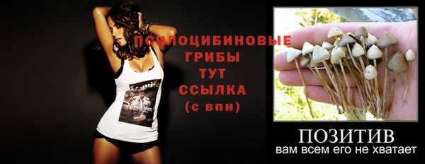 хмурый Алексин