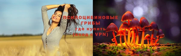 хмурый Алексин