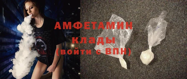 хмурый Алексин