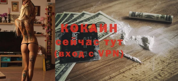 хмурый Алексин