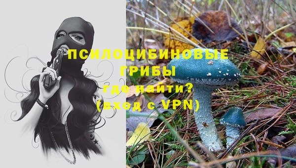 хмурый Алексин