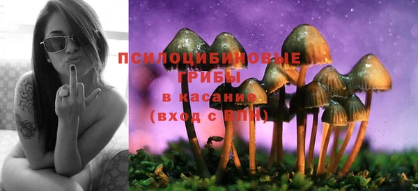 дурь Алексеевка